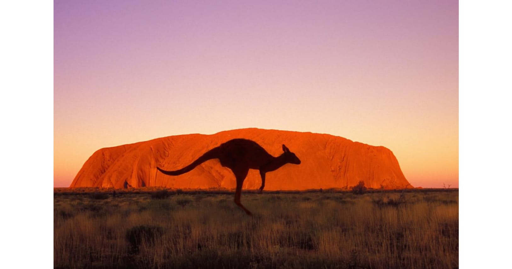息のむ絶景 いつかは行きたい世界の美しい国立公園 Nikkei Style 息のむ絶景 いつかは行きたい世界の美しい国立公園 Nikkei Style