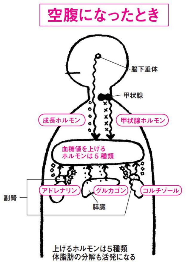 上がりやすく下がりにくい 血糖値 のヒミツ Nikkei Style 上がりやすく下がりにくい 血糖値 のヒミツ Nikkei Style