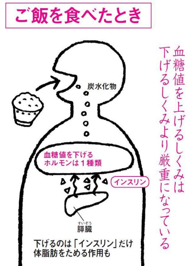 上がりやすく下がりにくい 血糖値 のヒミツ Nikkei Style 上がりやすく下がりにくい 血糖値 のヒミツ Nikkei Style