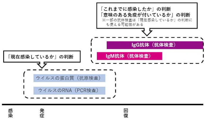新型コロナ 新型コロナの抗体検査は玉石混交 求められる性能評価 日本経済新聞