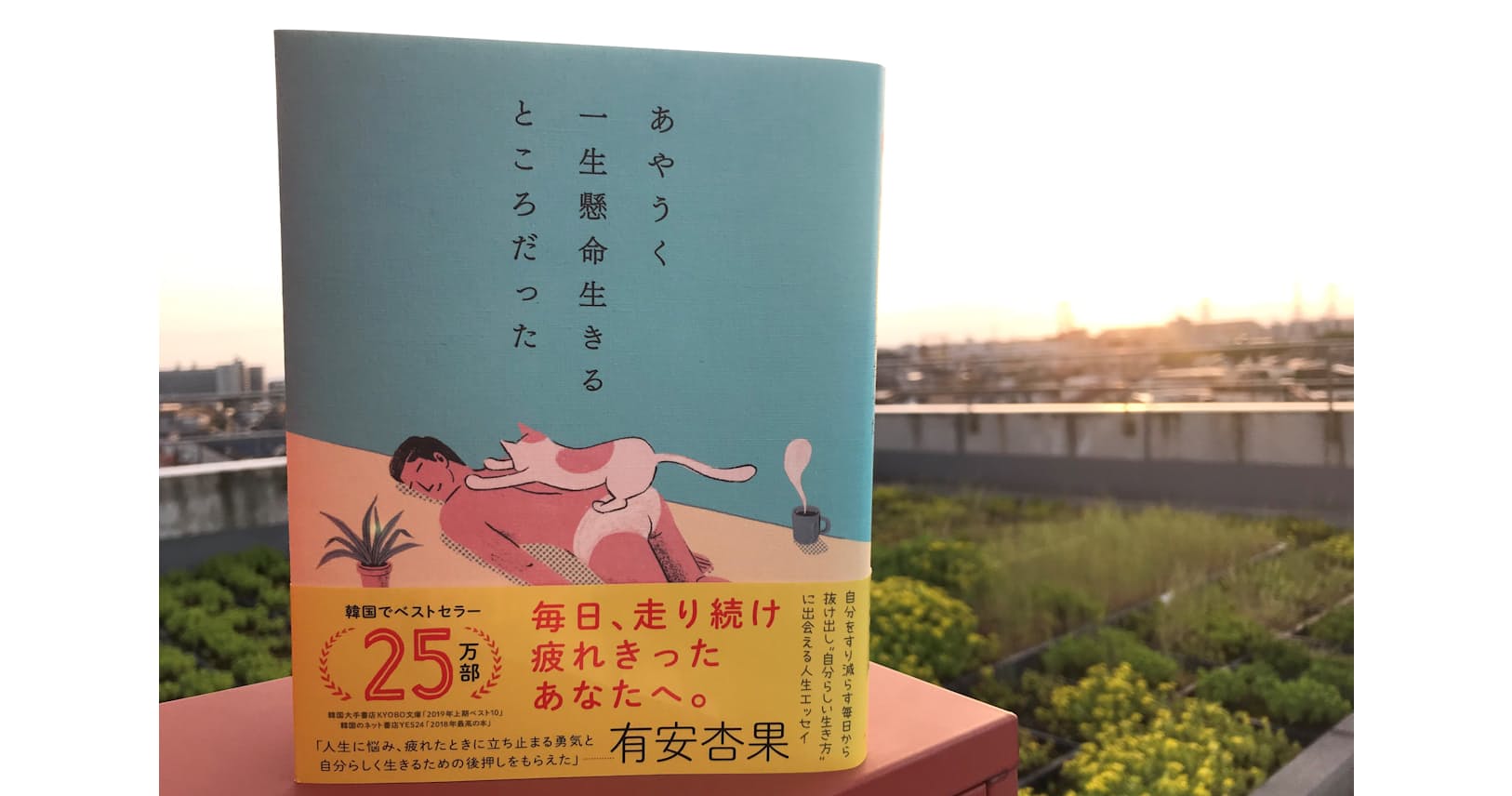 他人の視線に縛られない 会社辞めて知る自由の楽しみ ブック Nikkei Style