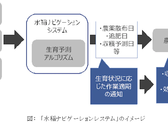 Nttデータと神明ホールディングス 水稲栽培管理を支援する 水稲ナビゲーションシステム 仮称 構築に向けた実証を開始 日本経済新聞