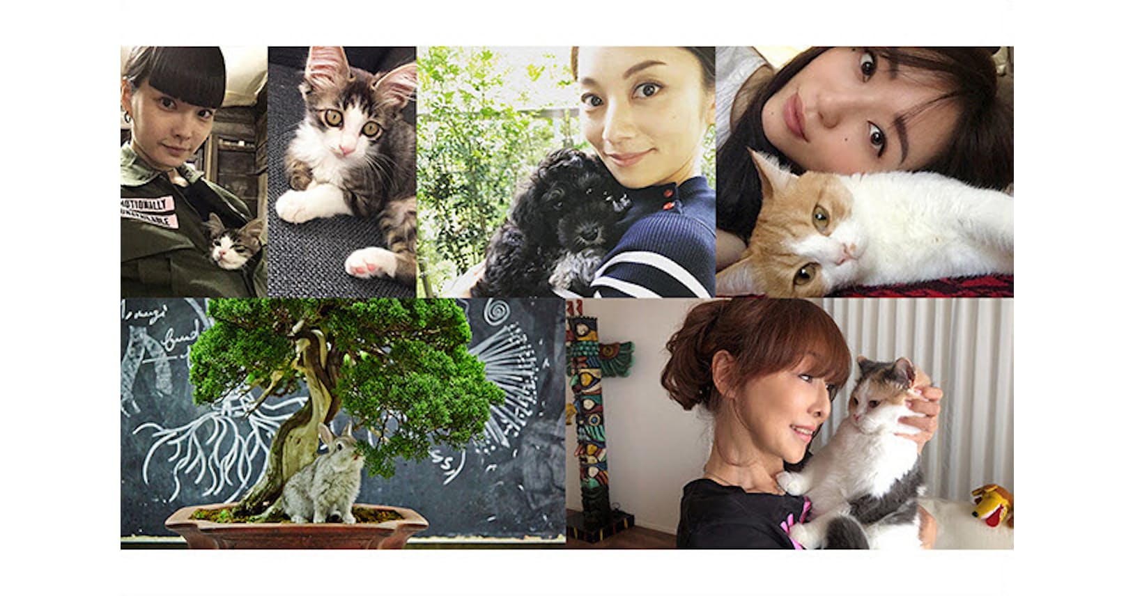 我が家の愛犬 愛猫 アイドルを一挙公開 Nikkei Style 我が家の愛犬 愛猫 アイドルを一挙公開 Nikkei Style