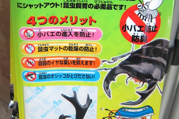 コオロギは昔キリギリスだった 虫の呼び名の謎 Nikkei Style コオロギは昔キリギリスだった 虫の呼び名の謎 Nikkei Style