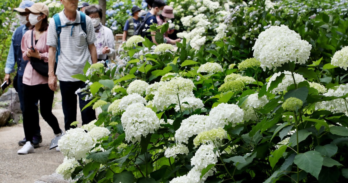 近畿・中国・東海が梅雨入り 平年より2~3日遅く - 日本経済新聞