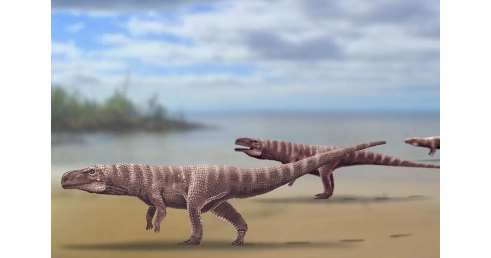 2本足で歩くワニ なぜ消えた 韓国で1億年前の足跡 Nikkei Style 2本足で歩くワニ なぜ消えた 韓国で1億年前の足跡 Nikkei Style