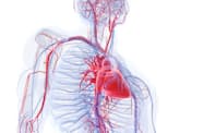 「血管」の健康は、老化や病気のリスクと密接に関わっています。中でも今、大きくクローズアップされているのが「毛細血管」です。(c)Sebastian Kaulitzki-123RF