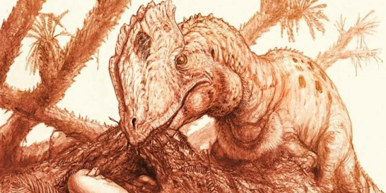 ディロフォサウルスを再発見する ジュラシック パーク の毒吐き恐竜 実はこん Nikkei Style ディロフォサウルスを再発見する ジュラシック パーク の毒吐き恐竜 実はこん Nikkei Style