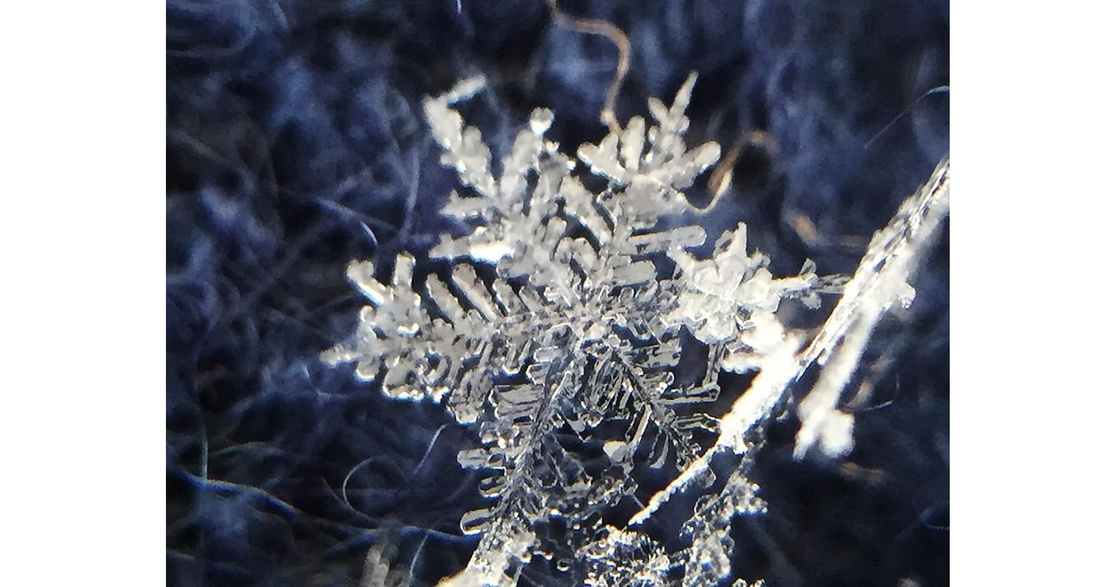 天からの手紙 を解読 雨か雪か 雲の科学で考える Nikkei Style 天からの手紙 を解読 雨か雪か 雲の科学で考える Nikkei Style