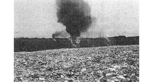 夢の島 ハエ ゴミ戦争で一躍有名に 東京 夢の島 名前の由来は海水浴場 空港計 Nikkei Style