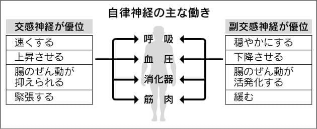 冬の便秘や風邪 自律神経の乱れが原因かも Nikkei Style