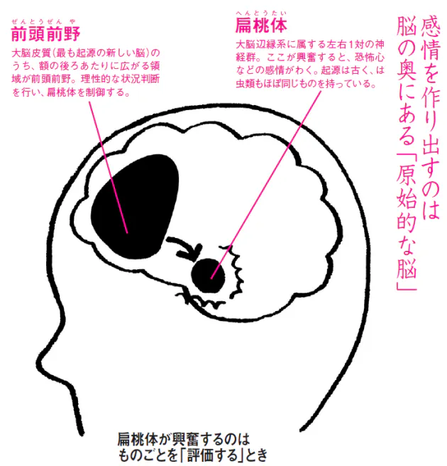感情はどこから 実は生存をかけて脳が下した判断 Nikkei Style 感情はどこから 実は生存をかけて脳が下した判断 Nikkei Style