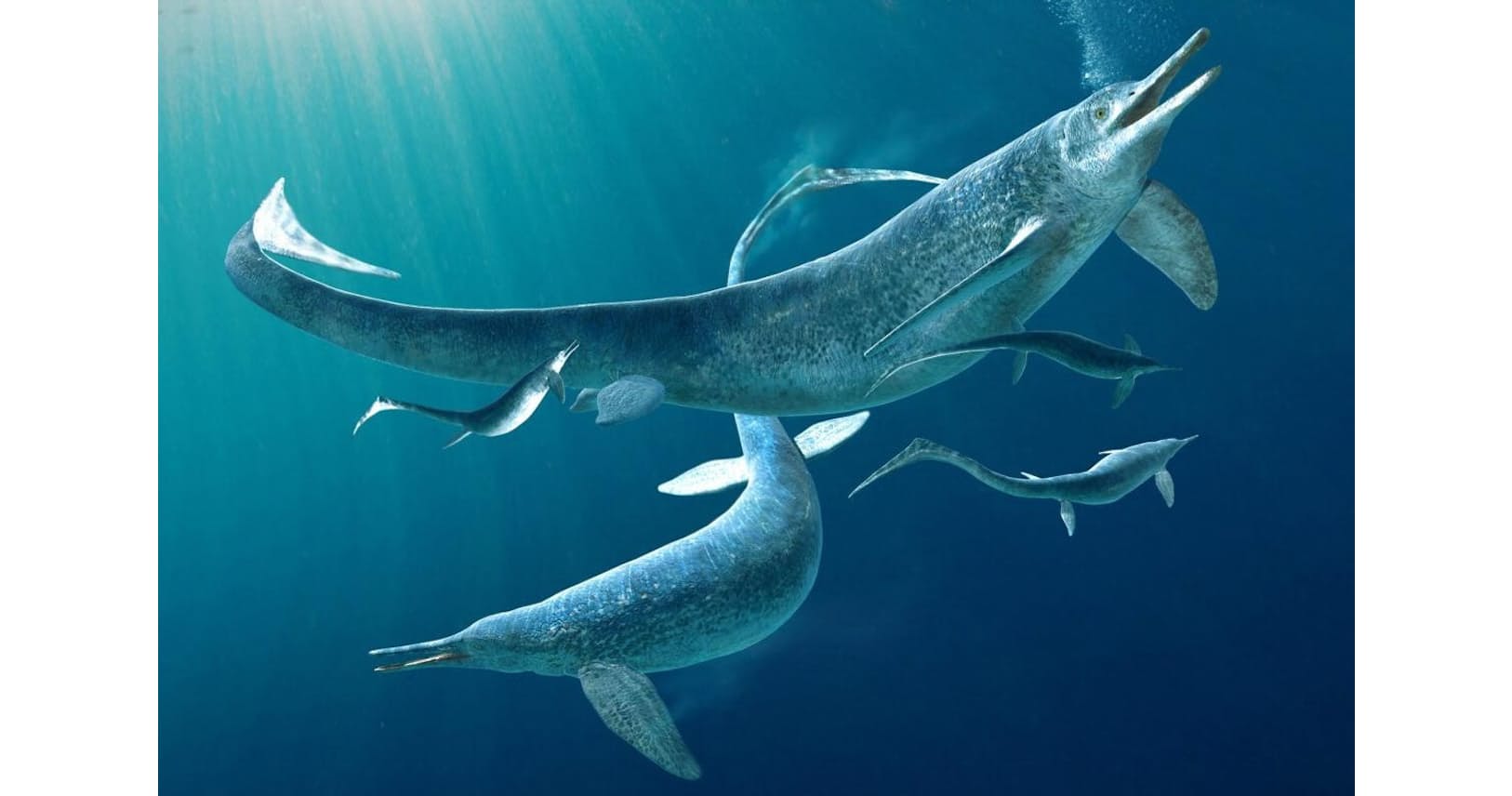 5mの魚竜が4mの獲物丸のみ 奇跡の化石が示す証拠 ナショジオ Nikkei Style 5mの魚竜が4mの獲物丸のみ 奇跡の化石が示す証拠 ナショジオ Nikkei Style