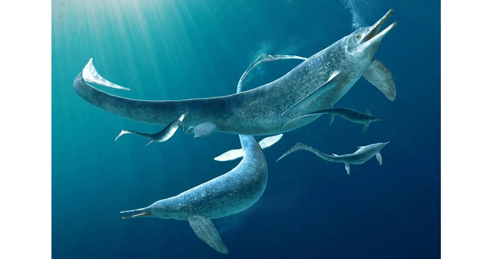 5mの魚竜が4mの獲物丸のみ 奇跡の化石が示す証拠 Nikkei Style 5mの魚竜が4mの獲物丸のみ 奇跡の化石が示す証拠 Nikkei Style