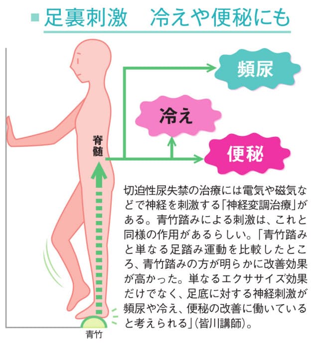 スクワットに青竹踏み 簡単体操が尿漏れ 頻尿に効果 Nikkei Style スクワットに青竹踏み 簡単体操が尿漏れ 頻尿に効果 Nikkei Style
