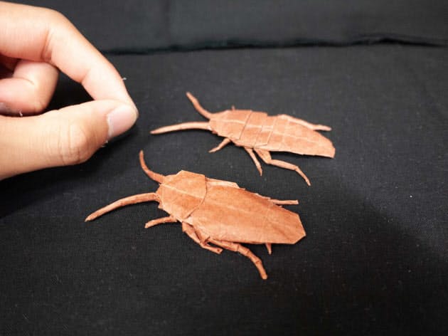 制約のなかに無限の可能性を見いだす 一枚の紙に無限の可能性 東大寺学園の折り紙 Nikkei Style 制約のなかに無限の可能性を見いだす 一枚の紙に無限の可能性 東大寺学園の折り紙 Nikkei Style