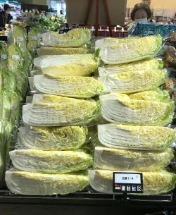 ハクサイは生育が良い見通し(9月、都内のスーパー)