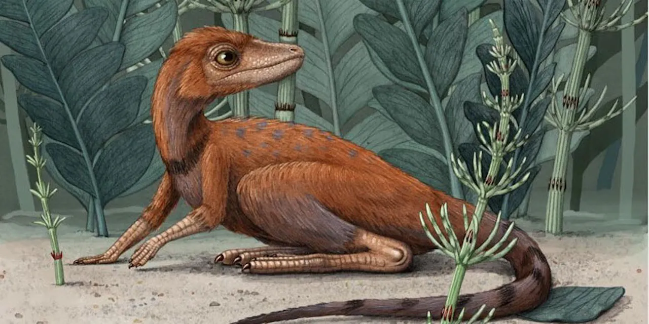 2度の大量絶滅乗り越え 恐竜1 5億年 繁栄の秘密 Nikkei Style 2度の大量絶滅乗り越え 恐竜1 5億年 繁栄の秘密 Nikkei Style