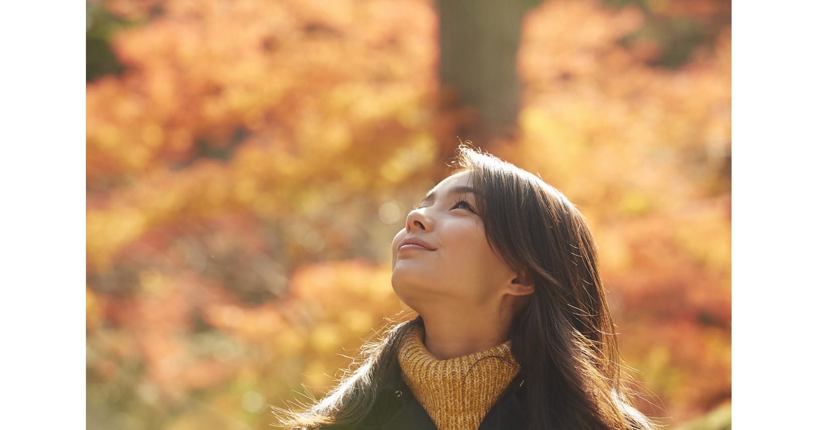40代から究める ひとり力 役職不要 外見は大事 Nikkei Style