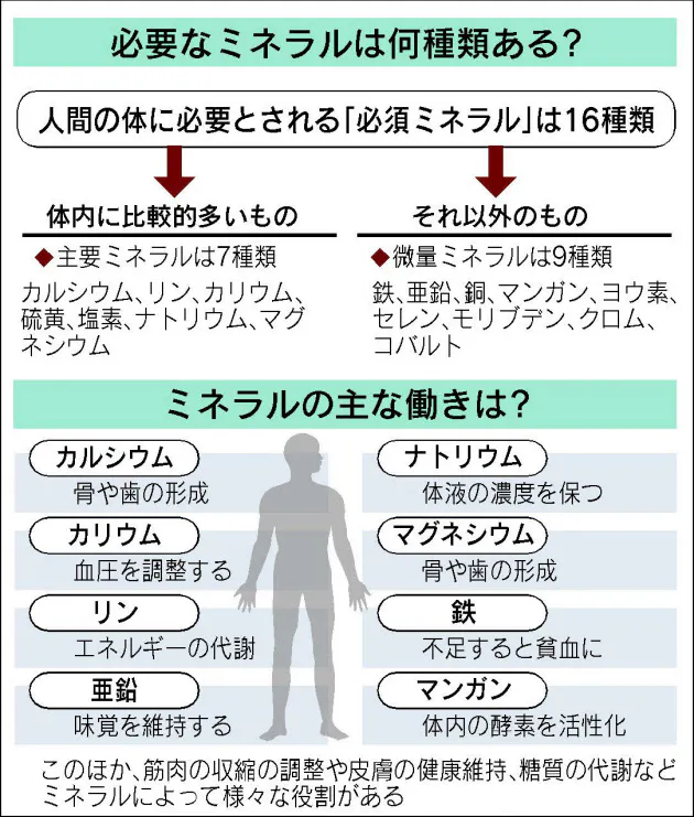 飽食の時代でもミネラルは不足 とり方に工夫を Nikkei Style 飽食の時代でもミネラルは不足 とり方に工夫を Nikkei Style