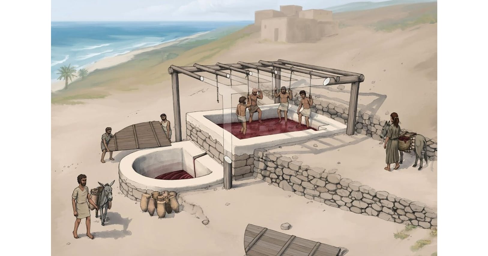 ワイン文化 を広めたフェニキア人 フェニキア最古の醸造所 ワイン文化はここか Nikkei Style ワイン文化 を広めたフェニキア人 フェニキア最古の醸造所 ワイン文化はここか Nikkei Style