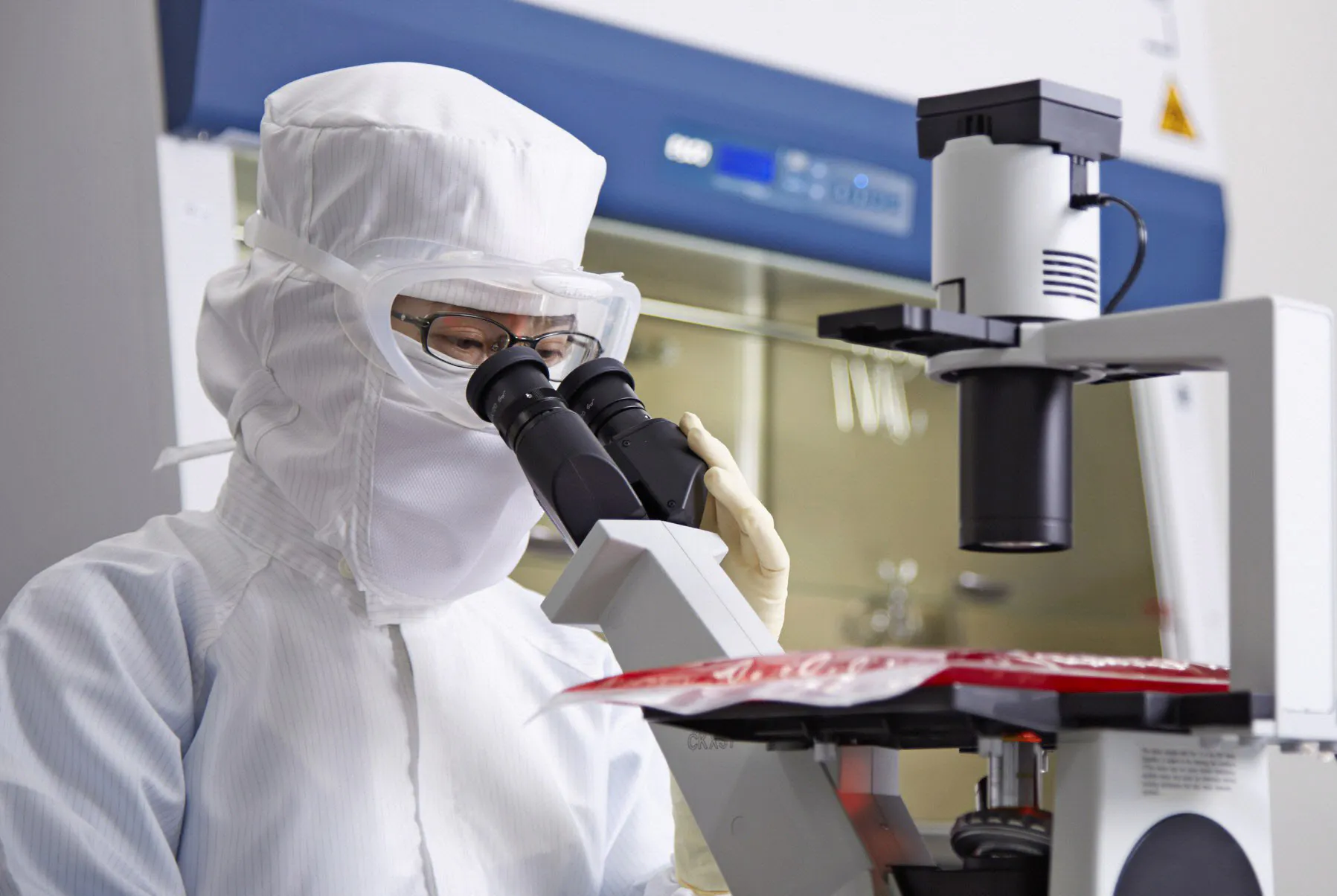 中国大連市と厳しい交渉 一芝居打ち海外基盤築く Nikkei Style 中国大連市と厳しい交渉 一芝居打ち海外基盤築く Nikkei Style