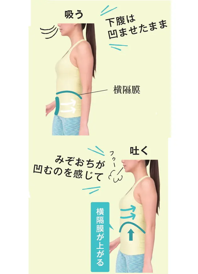 骨盤のゆがみ整えおなかすっきり 1日1分おしり整体 Nikkei Style 骨盤のゆがみ整えおなかすっきり 1日1分おしり整体 Nikkei Style