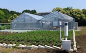 富士通は、農業クラウドを検証・実践する場として同社沼津工場敷地内に「Akisai農場」を設置している