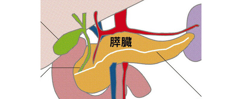 日本経済新聞