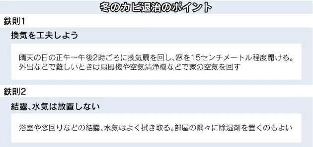 冬も発生しやすい部屋のカビ 撃退のポイント Nikkei Style 冬も発生しやすい部屋のカビ 撃退のポイント Nikkei Style