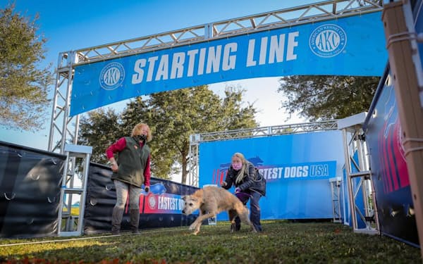 2020年12月11日に開催された初の最速犬競技会で優勝した、米メリーランド州の救助犬フェラン（Photograph by MARK L. BAER, MLBaer Photography）