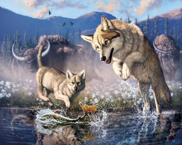 5 7万年前のお宝 消えたオオカミをミイラで発見 Nikkei Style 5 7万年前のお宝 消えたオオカミをミイラで発見 Nikkei Style
