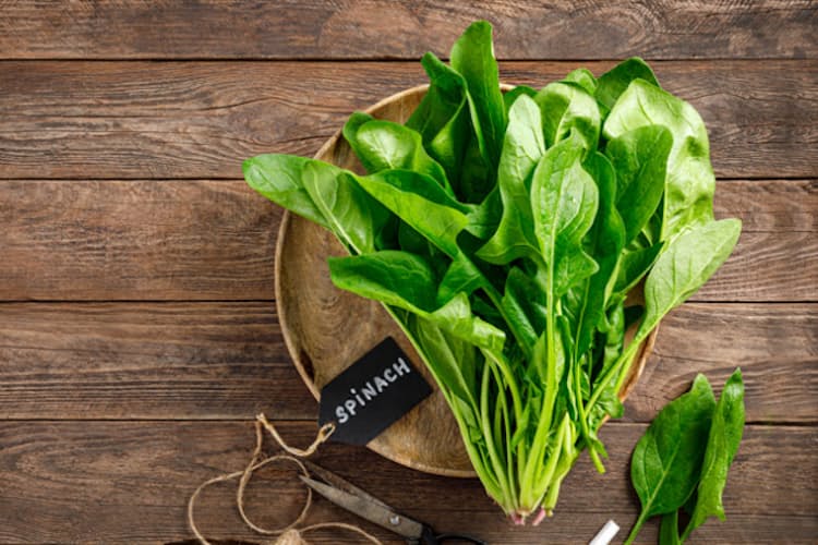 ポパイのホウレンソウ缶詰ある 英国ではカレーにも Nikkei Style ポパイのホウレンソウ缶詰ある 英国ではカレーにも Nikkei Style