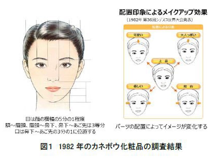 花王 日本人女性の 平均顔 と印象による顔の特徴を解析 日本経済新聞 花王 日本人女性の 平均顔 と印象による顔の特徴を解析 日本経済新聞