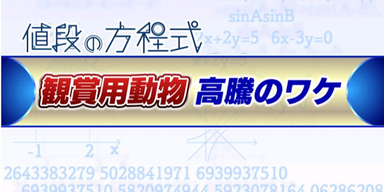 なぜ 小動物ペット値上がり コロナで航空貨物が高騰 Nikkei Style なぜ 小動物ペット値上がり コロナで航空貨物が高騰 Nikkei Style