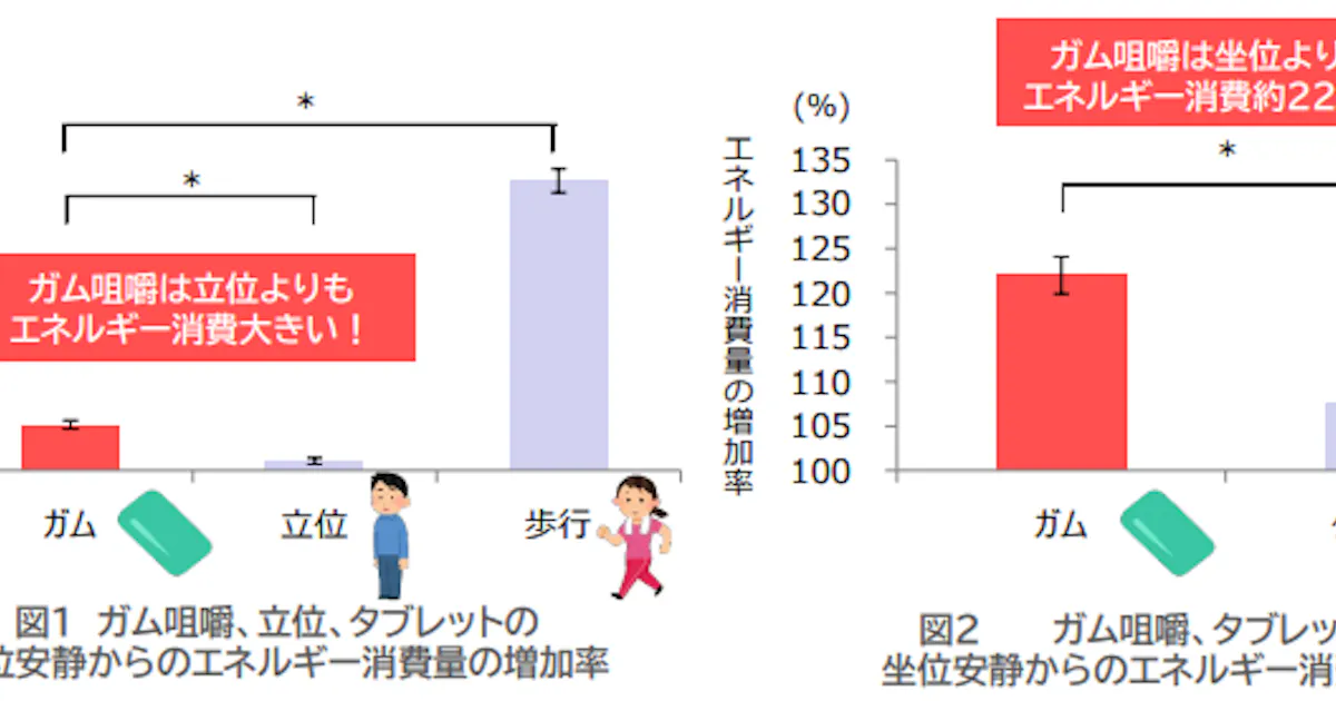 ロッテ ガム咀嚼によるエネルギー消費量が立位よりも大きいことを確認 日本経済新聞