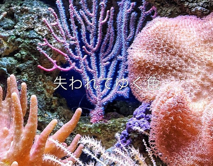 三陽商会 ファッションブランド Ecoalf から海の豊かさを守りたいという思いを込めた21年春夏コレクションを発売 日本経済新聞 三陽商会 ファッションブランド Ecoalf から海の豊かさを守りたいという思いを込めた21年春夏コレクションを発売 日本経済新聞