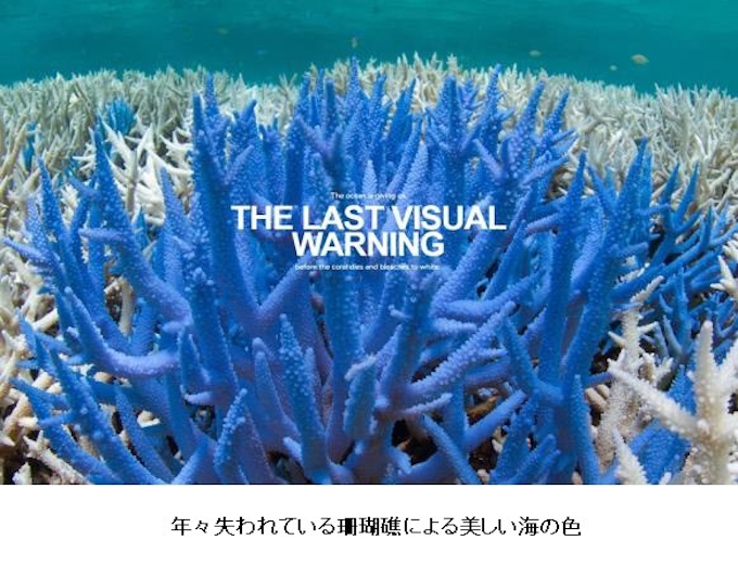 三陽商会 ファッションブランド Ecoalf から海の豊かさを守りたいという思いを込めた21年春夏コレクションを発売 日本経済新聞 三陽商会 ファッションブランド Ecoalf から海の豊かさを守りたいという思いを込めた21年春夏コレクションを発売 日本経済新聞