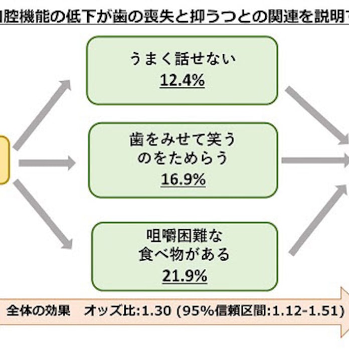 東北大 歯の喪失と抑うつとの関連メカニズムを解明 日本経済新聞 東北大 歯の喪失と抑うつとの関連メカニズムを解明 日本経済新聞