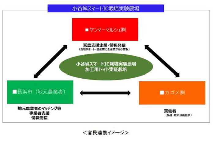 ヤンマーhd 滋賀県長浜市 カゴメと連携しスマートic栽培実験農場における加工用トマトの実証栽培を開始 日本経済新聞 ヤンマーhd 滋賀県長浜市 カゴメと連携しスマートic栽培実験農場における加工用トマトの実証栽培を開始 日本経済新聞