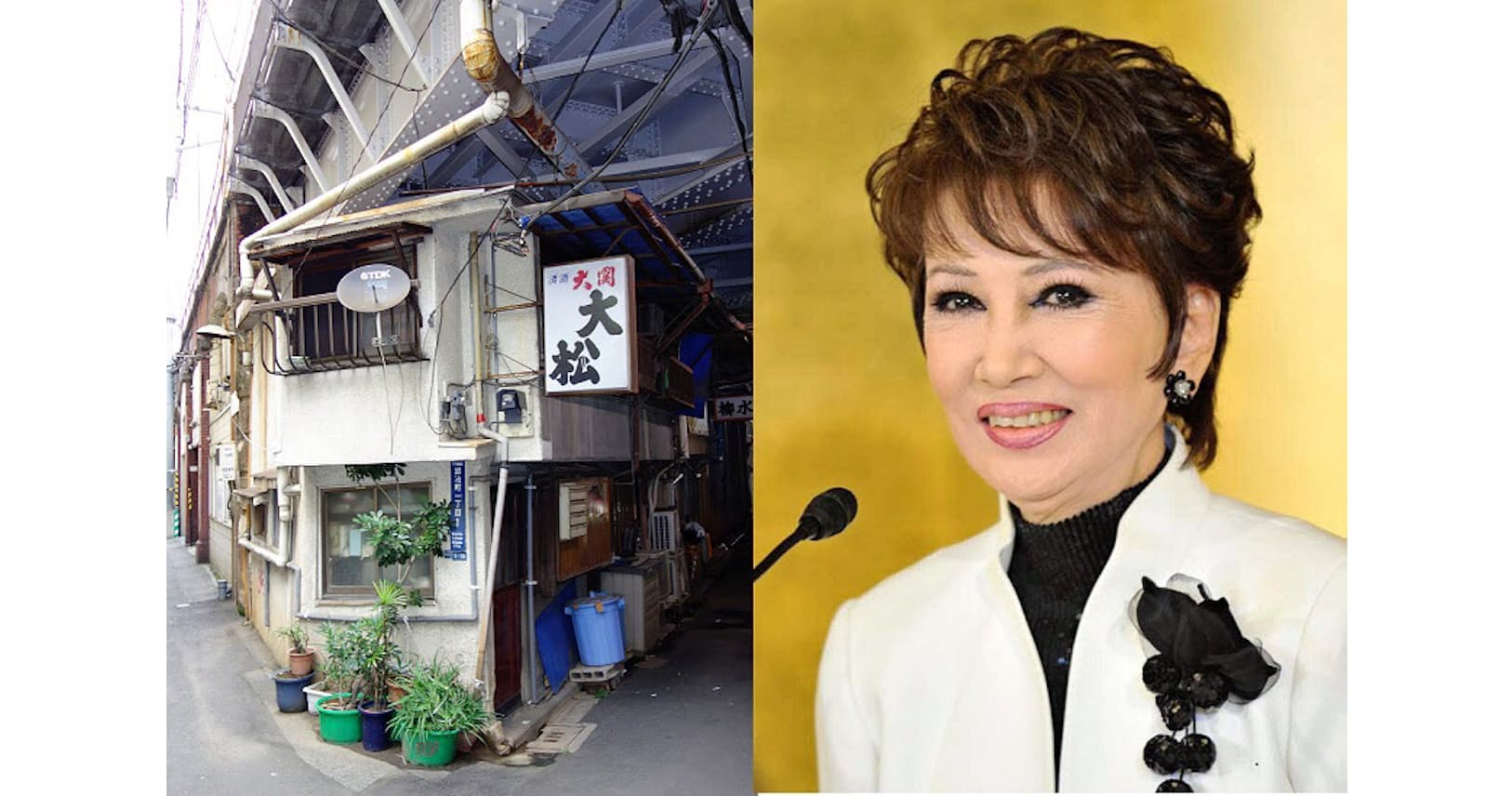 大原麗子 自宅 大原麗子 自宅