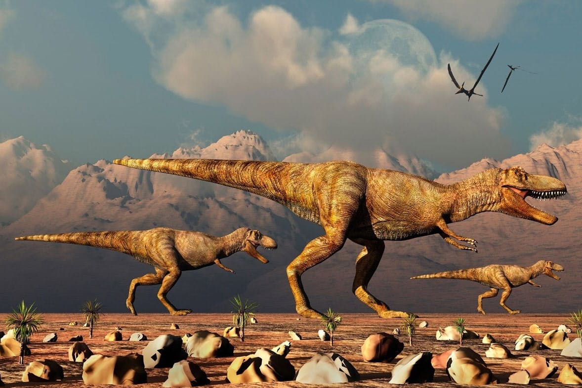 ティラノサウルスは何頭いた 東京都の広さなら頭 Nikkei Style ティラノサウルスは何頭いた 東京都の広さなら頭 Nikkei Style