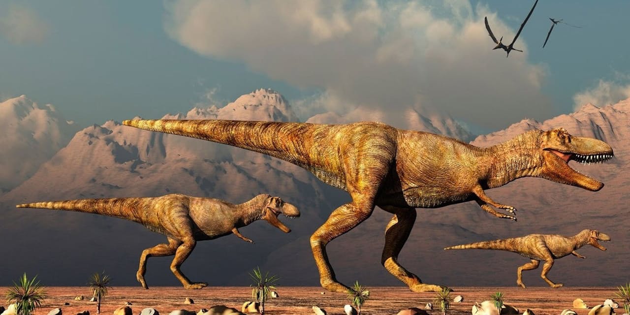 ティラノサウルスは何頭いた 東京都の広さなら頭 Nikkei Style ティラノサウルスは何頭いた 東京都の広さなら頭 Nikkei Style