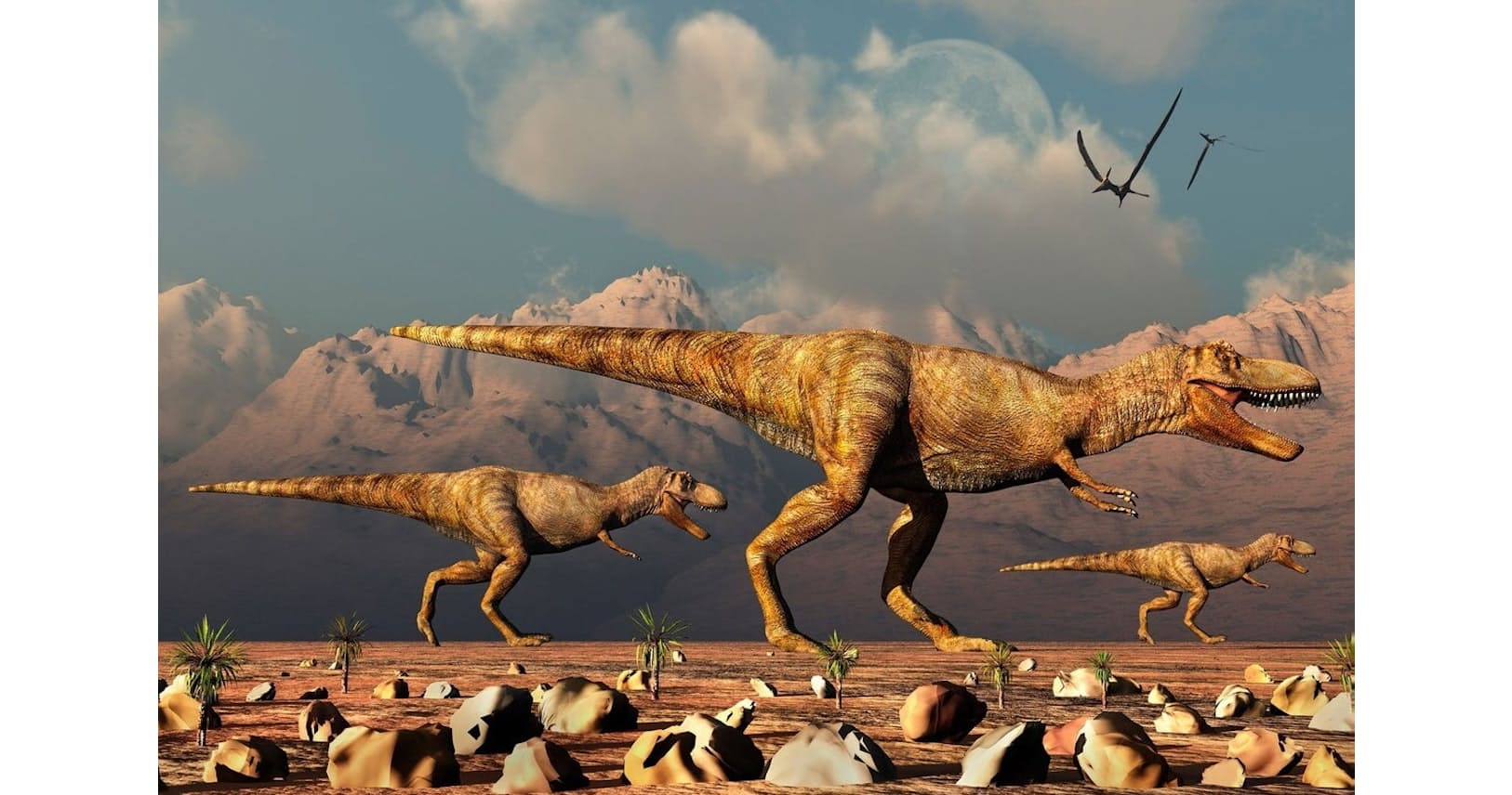 ティラノサウルスは何頭いた 東京都の広さなら頭 Nikkei Style ティラノサウルスは何頭いた 東京都の広さなら頭 Nikkei Style