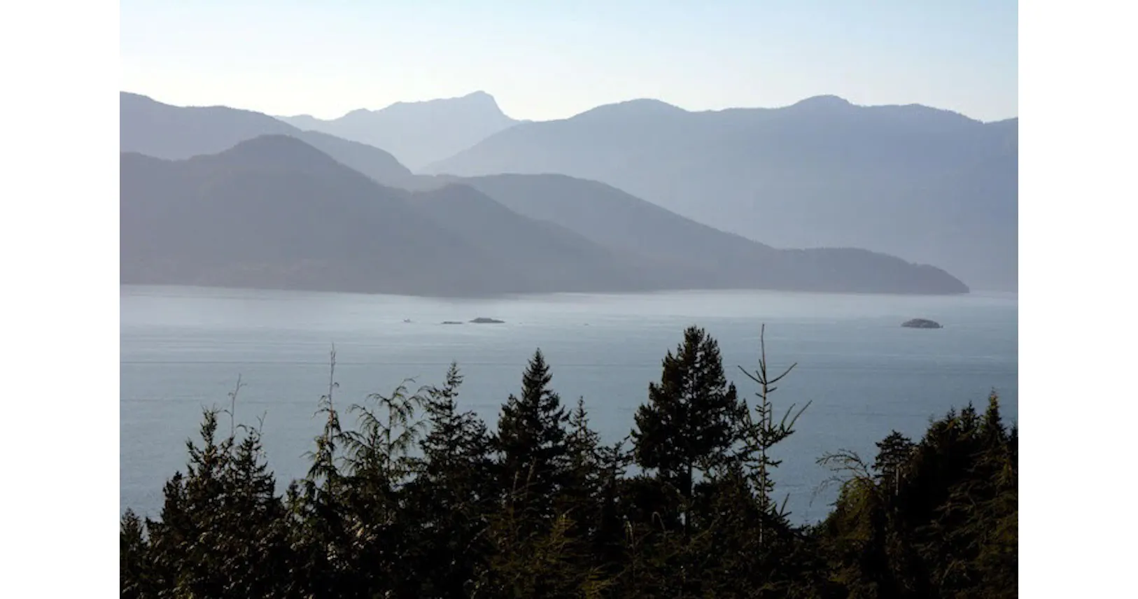 nikkei style 日本経済新聞