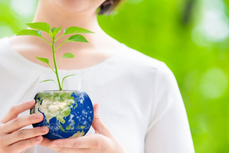 家計の節約にもなるsdgs 暮らしの中でできること Nikkei Style 家計の節約にもなるsdgs 暮らしの中でできること Nikkei Style