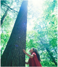 三井ホーム Sdgsに向けた建築物の木造化 木質化の促進を目指すサステナビリティブランドを発表 日本経済新聞