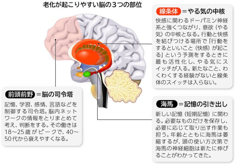 脳を鍛える極意 増える あれ それ 老化にあらがう Nikkei Style 脳を鍛える極意 増える あれ それ 老化にあらがう Nikkei Style