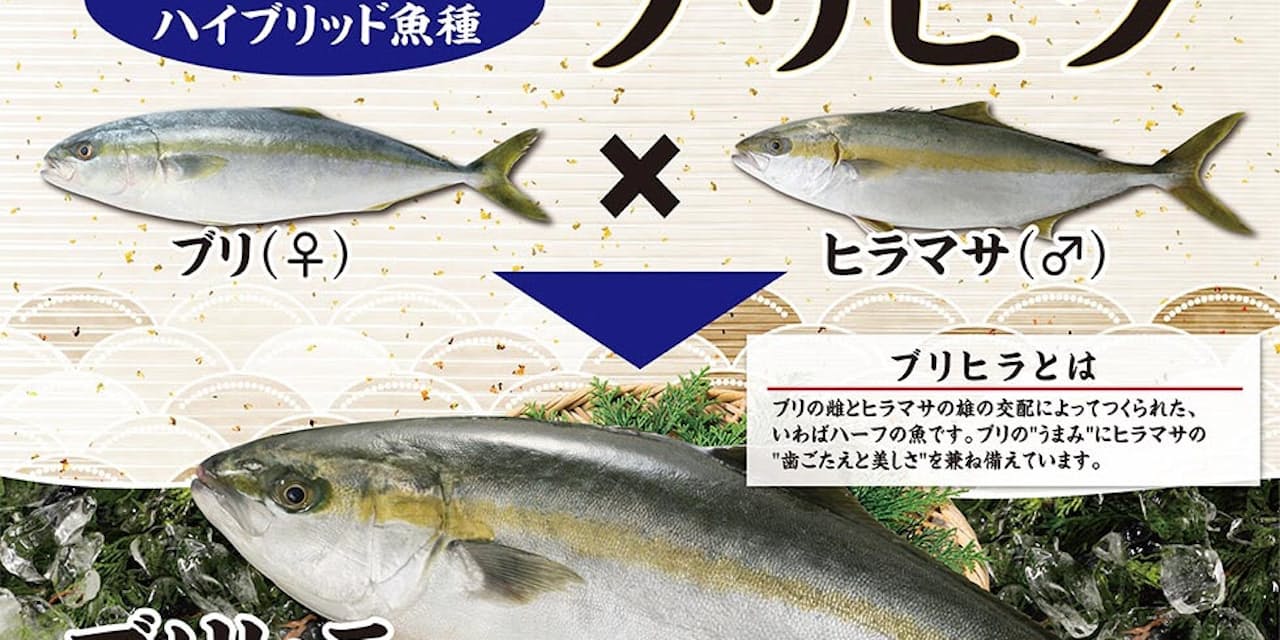 ベイシア ブリヒラ 販売 近大が開発ブリ ヒラマサ Nikkei Style ベイシア ブリヒラ 販売 近大が開発ブリ ヒラマサ Nikkei Style