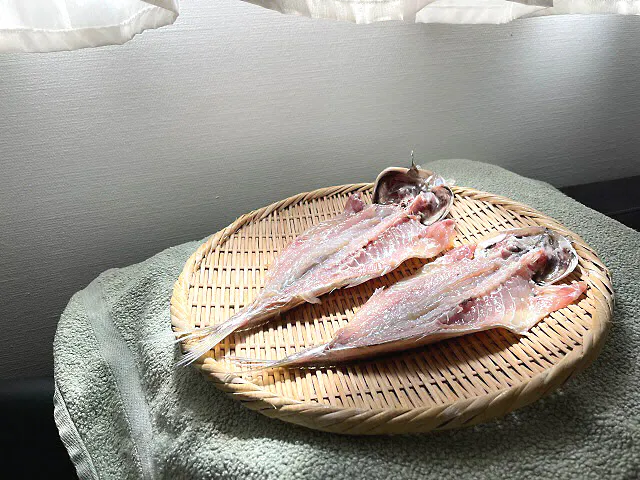 パリで 干物沼 にダイブ アジを干して知る奥深さ Nikkei Style パリで 干物沼 にダイブ アジを干して知る奥深さ Nikkei Style